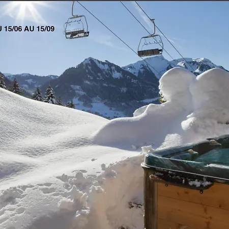 Chalet Le Des Ours *
